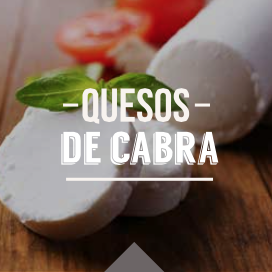 quesodecabra